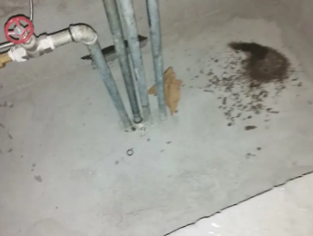 永福卫生间测漏水价格明细