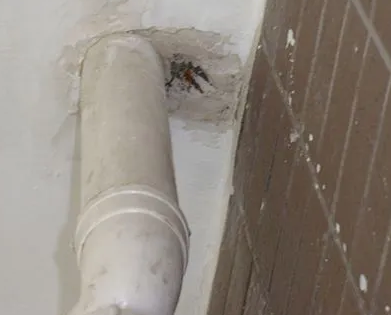 永福漏水检测哪家好